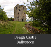 Period Property For Sale - Beagh Castle, Ballysteen, Co. Limerick