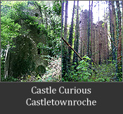 Period Property For Sale - Castle Curious, Castletownroche, Co. Cork