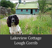 Lakeview cottage available for holiday or long term let Lakeview Cottage