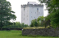Turin Castle, Kilmaine, Co. Mayo Turin Castle, Kilmaine, Co. Mayo