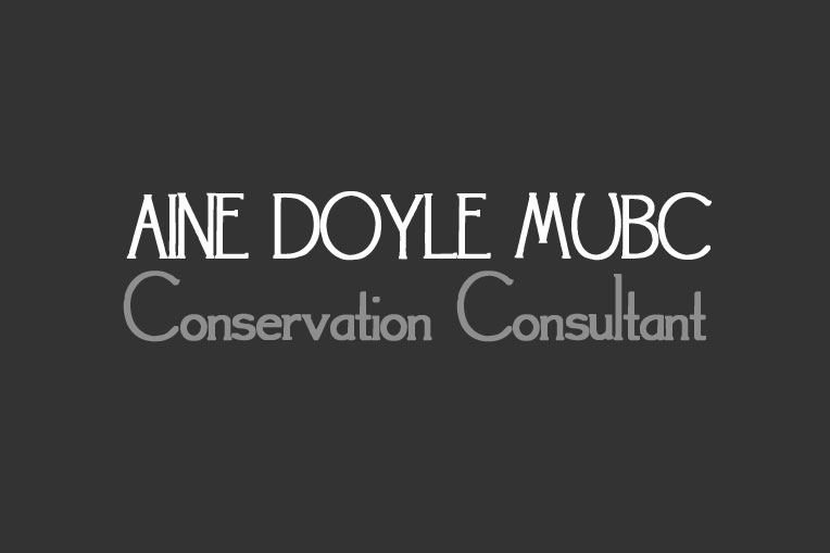 Áine Doyle MUBC, Conservation Consultant
