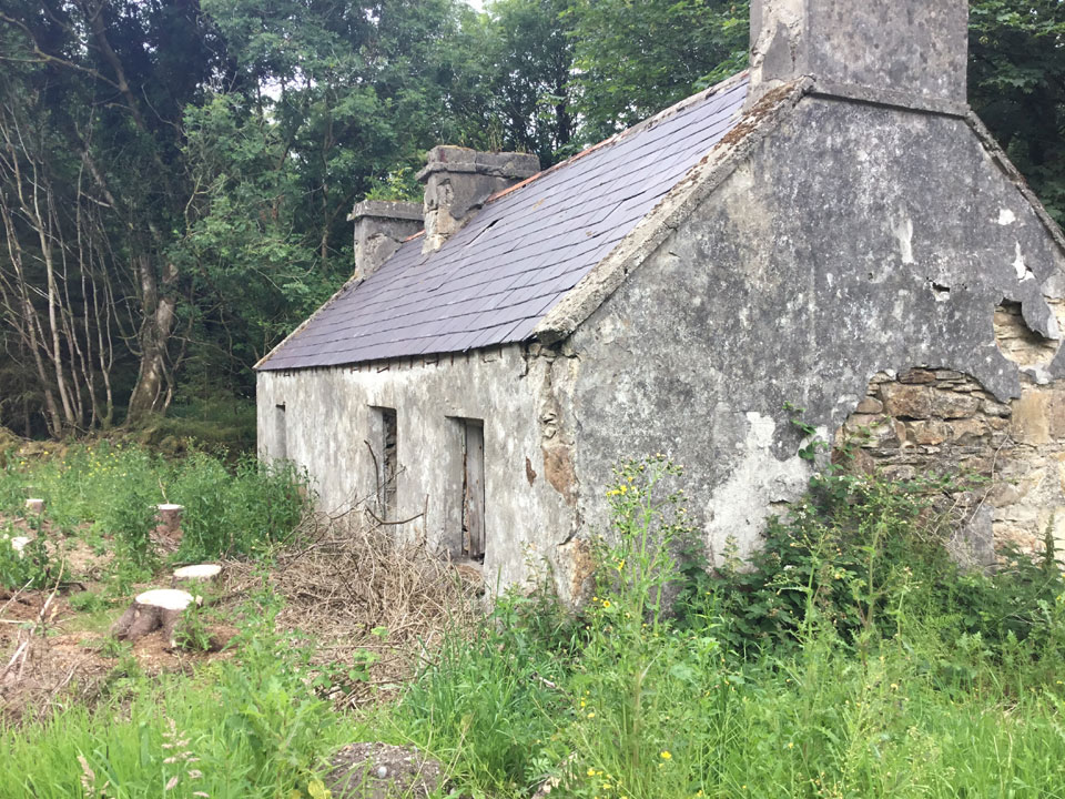 Derelict Cottage For Sale: Derrylahan, Cloonfad, Co. Roscommon