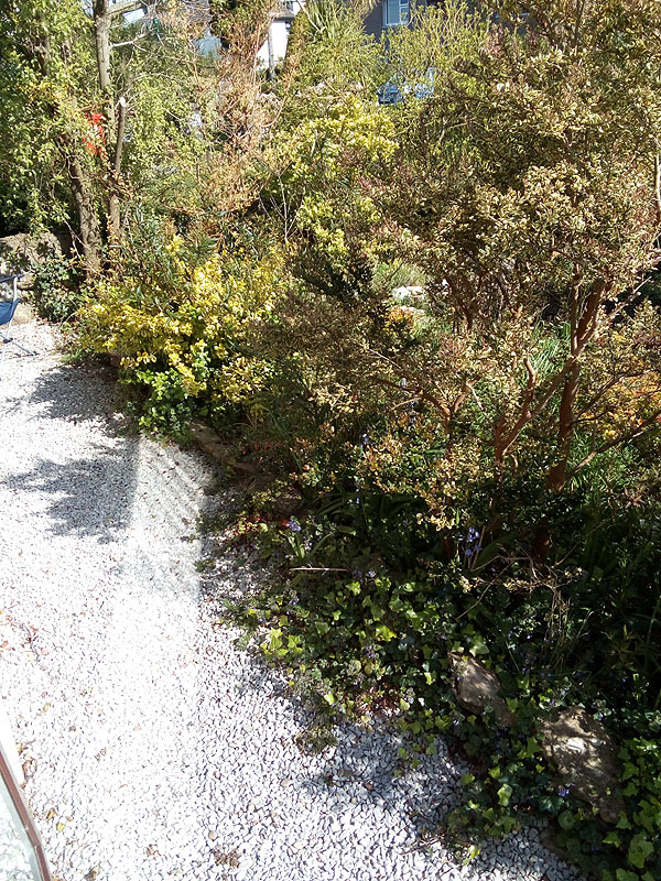 Charming Home For Sale: Sequoia, Newtown, Cobh, Co. Cork