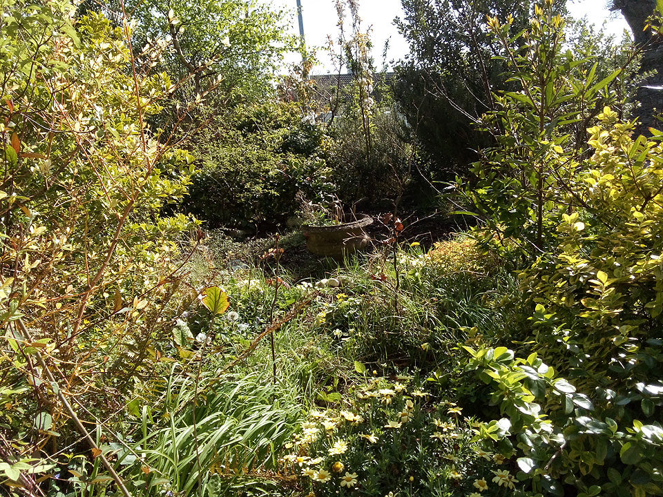 Charming Home For Sale: Sequoia, Newtown, Cobh, Co. Cork