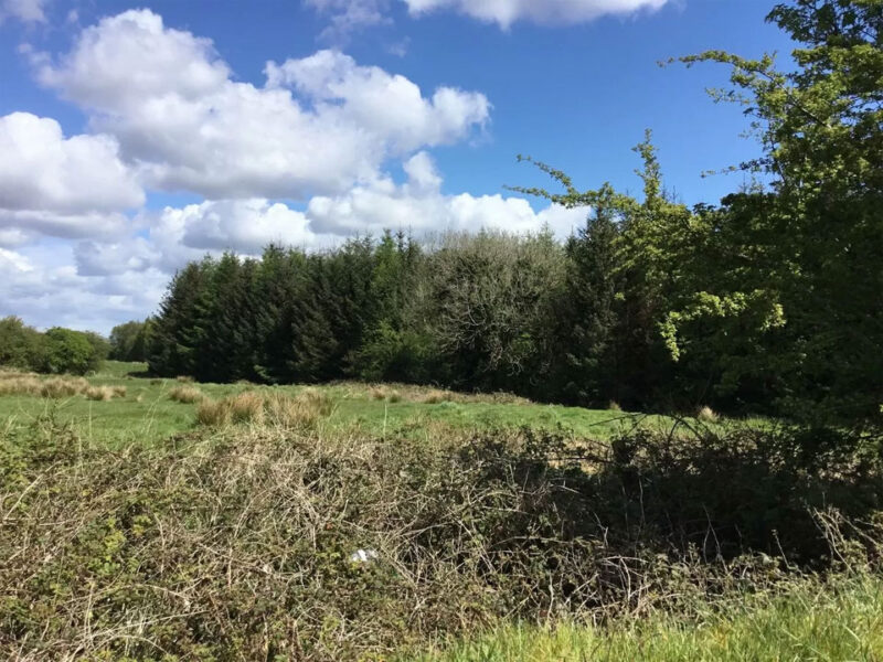 For Sale Traditional Style Farmhouse, Granlahan, Ballinlough, Co