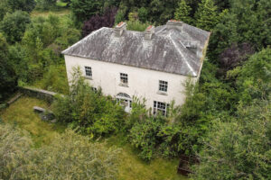 Site and Dwelling For Sale: Lickmalassy, Portumna, Co. Galway
