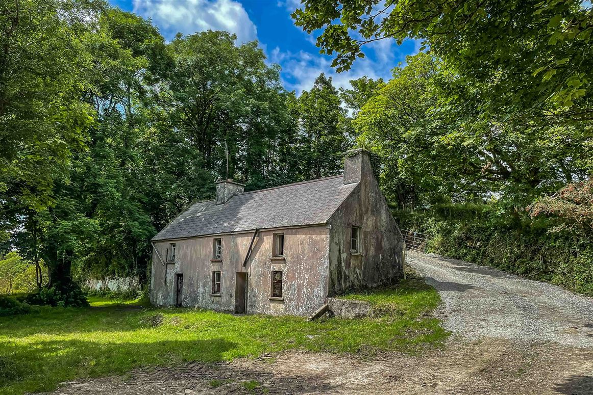 Farmhouse and Land For Sale: Clodagh, Drimoleague, Co. Cork
