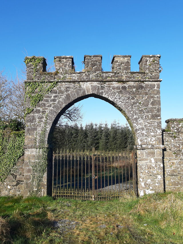 Medieval Style Tower House For Sale: Grants Castle, Woodlawn, Co. Galway