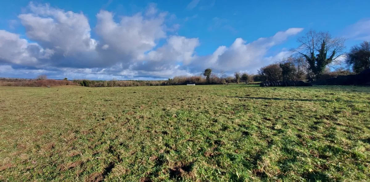 Farmhouse and Land For Sale: Ballynahown, Clonaslee, Co. Laois