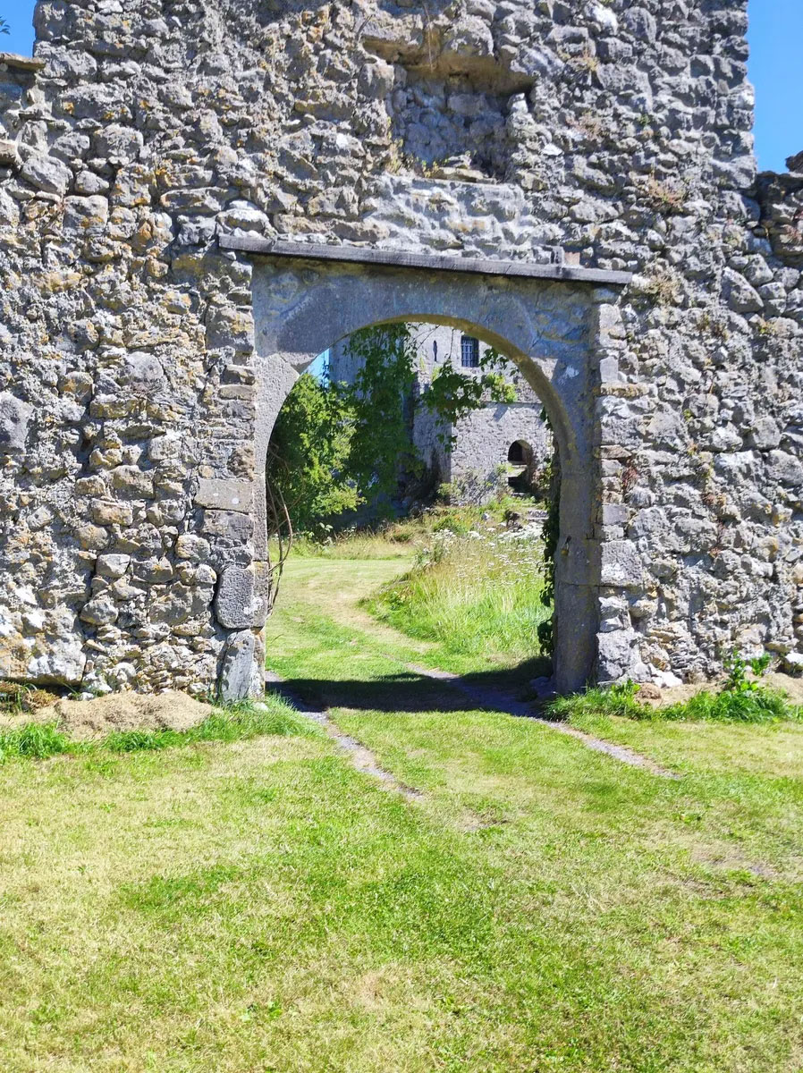 Historic Irish Castle For Sale: Clonony Castle, Shannon Harbour, Co. Offaly