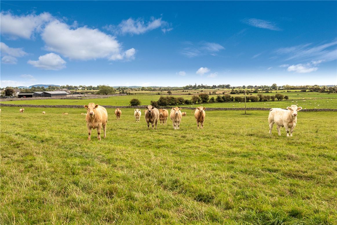Farmhouse and Land For Sale: Millburn House and Farm, Ardour, Kilconly, Tuam, Co. Galway