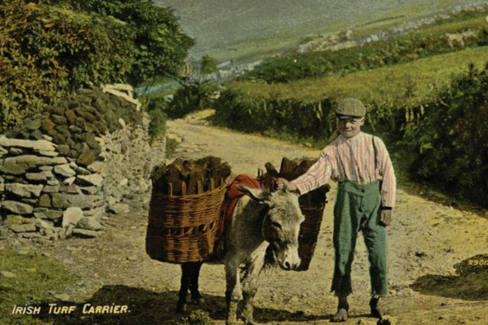 The Classic Irish Postcards Collection - Tom Cronin