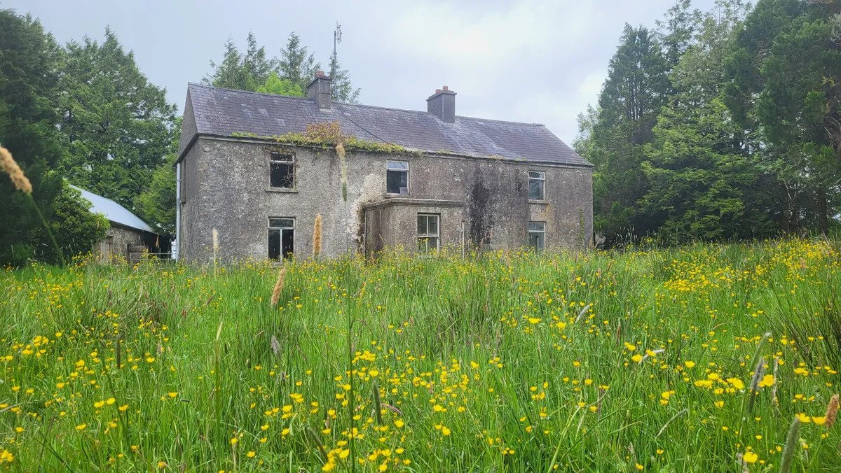 Period Property For Sale: Ardglass House, Ardglass, Boyle, Co. Roscommon