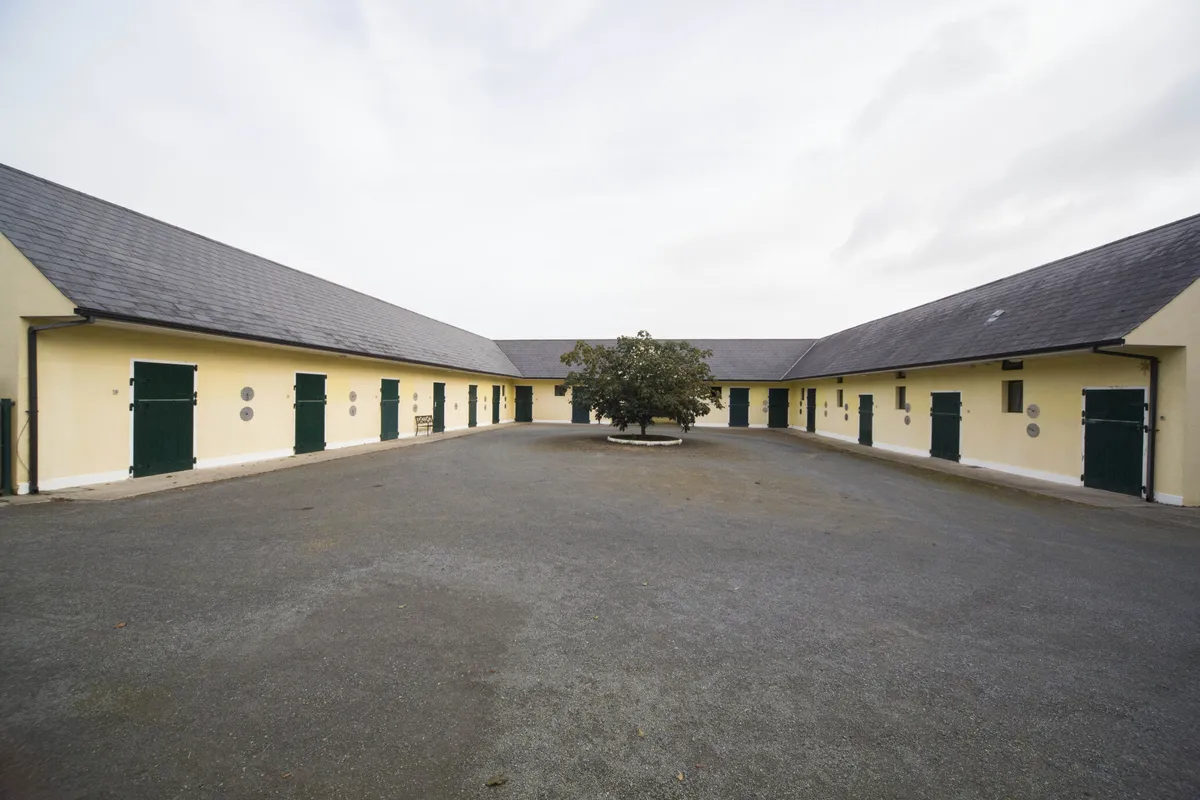 Period Home and Stud Farm For Sale: Ballybaun Stud, Rathnure, Enniscorthy, Co. Wexford