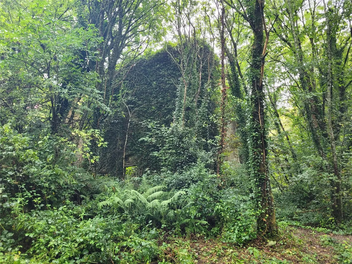 Derelict Mill For Sale: Allen's Mill, Inistioge, Co. Kilkenny