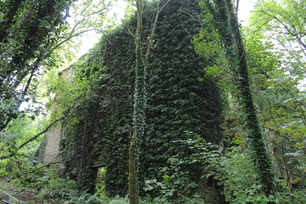 Derelict Mill For Sale: Allen's Mill, Inistioge, Co. Kilkenny