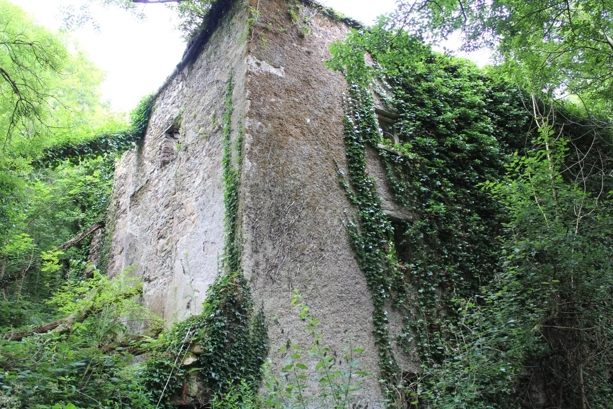 Derelict Mill For Sale: Allen’s Mill, Inistioge, Co. Kilkenny