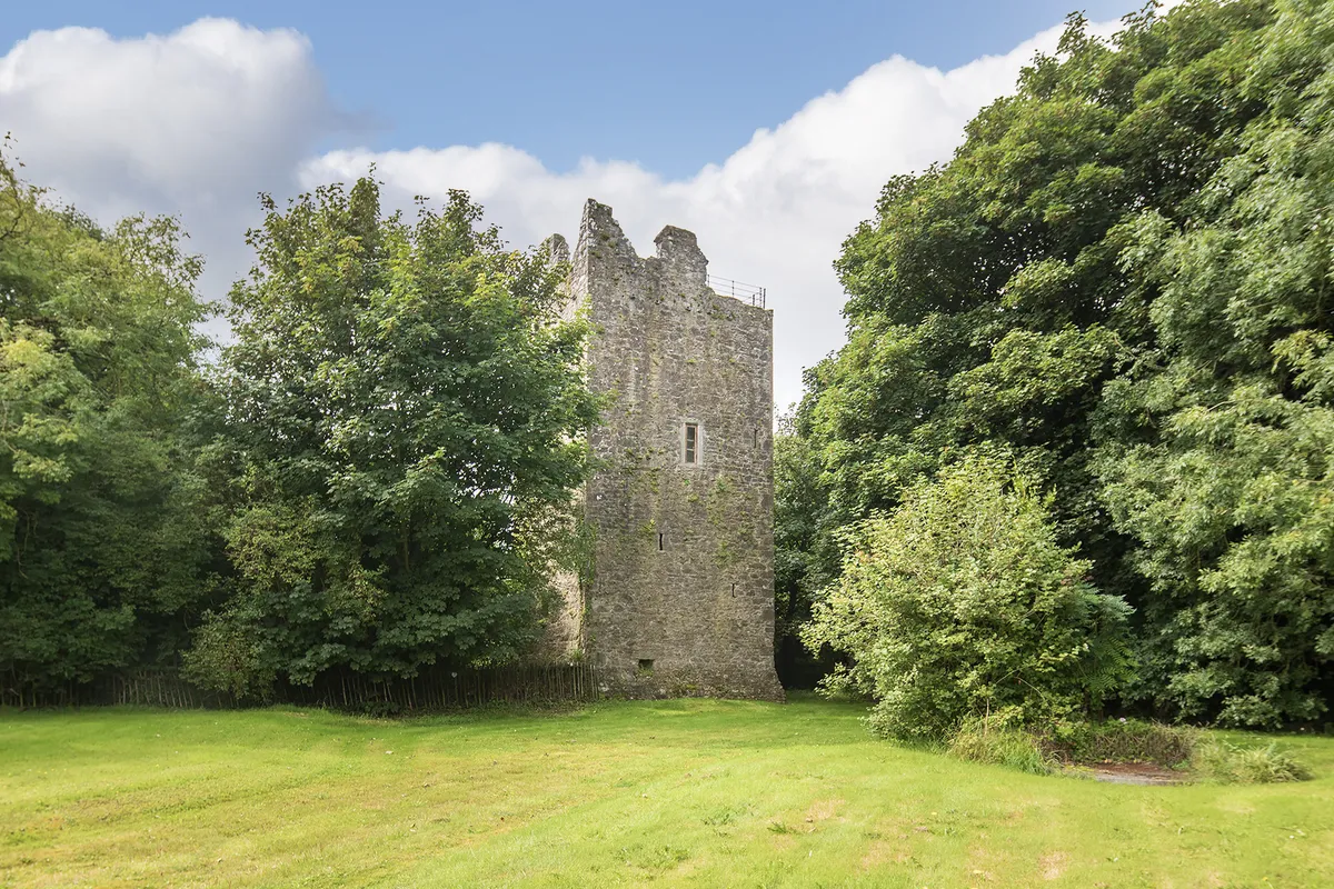 Historic Castle For Sale: Ballintotis Castle, Ballintotis, Castlemartyr, Co. Cork