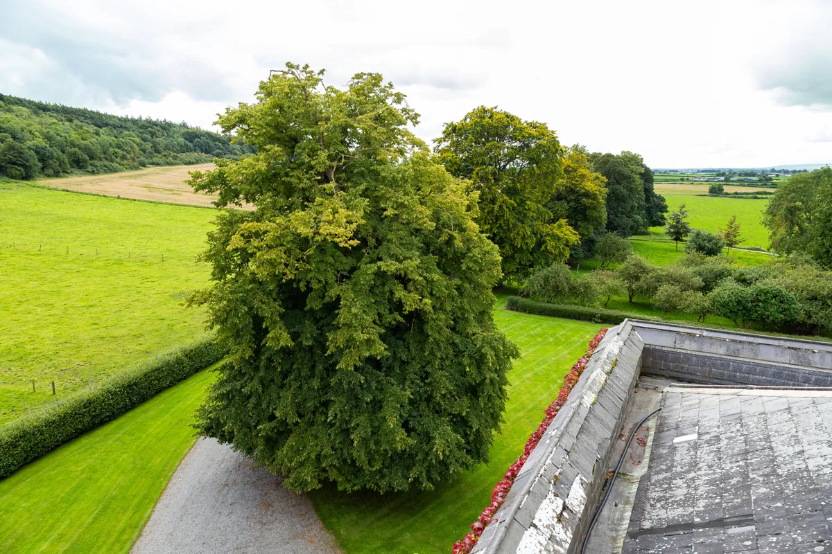 Historic Home For Sale: Killough Castle and Farm, Thurles, Co. Tipperary