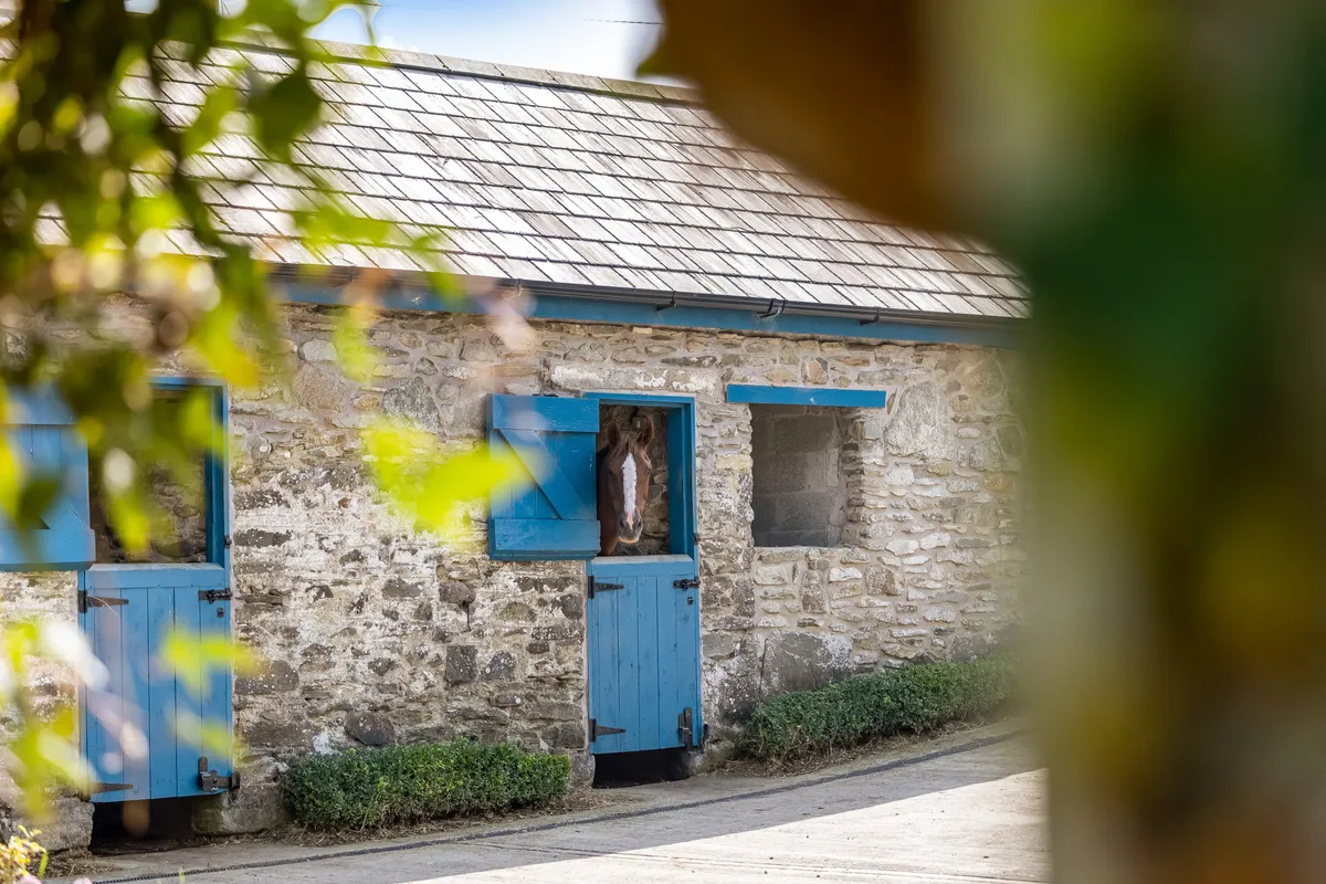 Period Farmhouse For Sale: Coolnahinch, Moynalty, Co. Meath