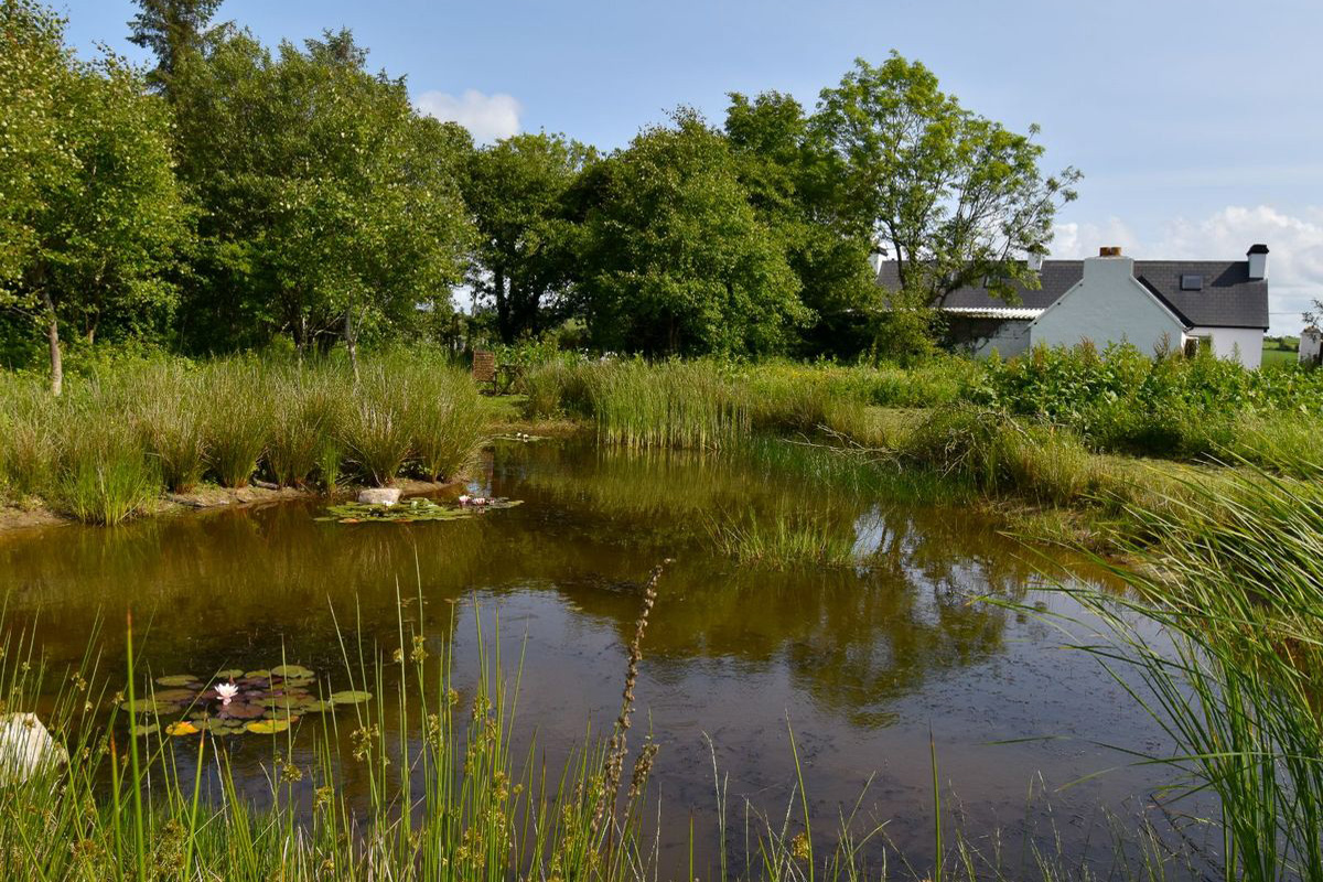 Traditional Farmhouse For Sale: Dangananella East, Cooraclare, Co. Clare