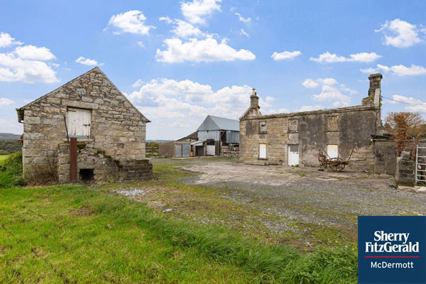 Traditional Farmstead For Sale: Ballynagrane, Borris, Co. Carlow