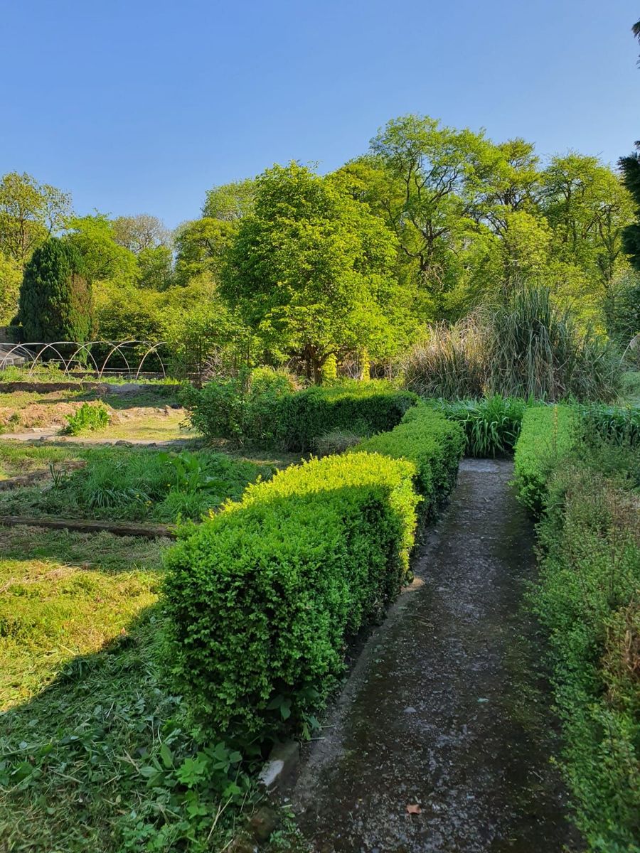 Period Property For Sale: Assolas House, Assolas, Castlemagner, Co. Cork Period Property For Sale: Assolas House, Assolas, Castlemagner, Co. Cork