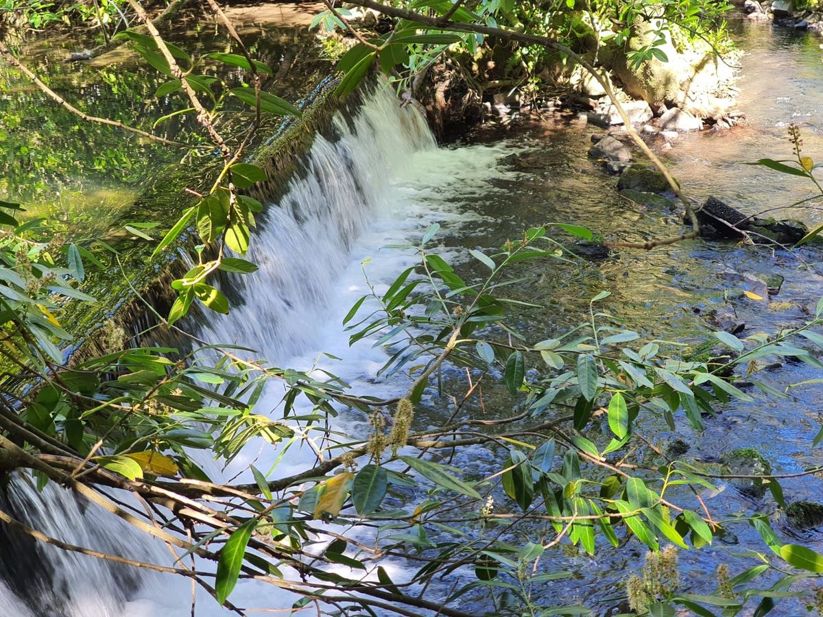Period Property For Sale: Assolas House, Assolas, Castlemagner, Co. Cork Period Property For Sale: Assolas House, Assolas, Castlemagner, Co. Cork