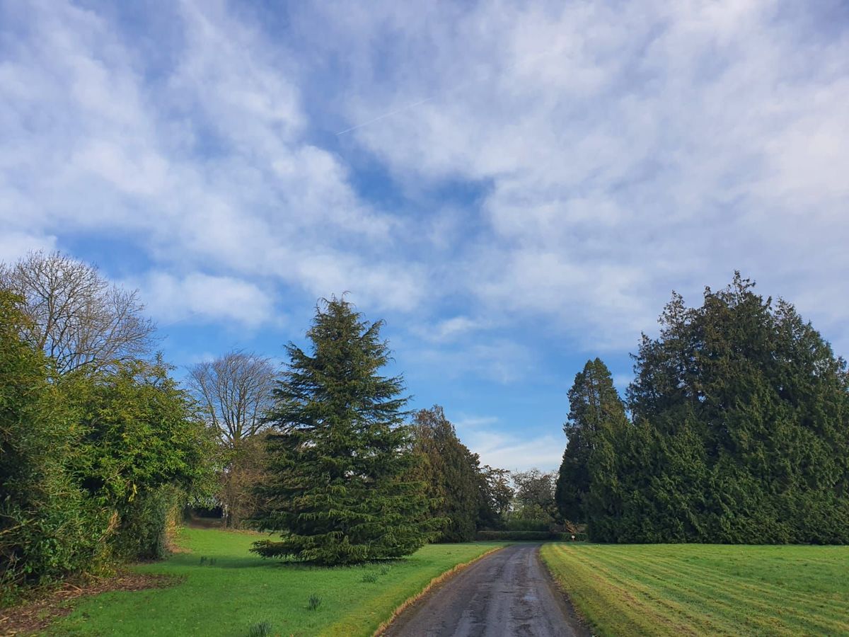 Period Property For Sale: Assolas House, Assolas, Castlemagner, Co. Cork Period Property For Sale: Assolas House, Assolas, Castlemagner, Co. Cork