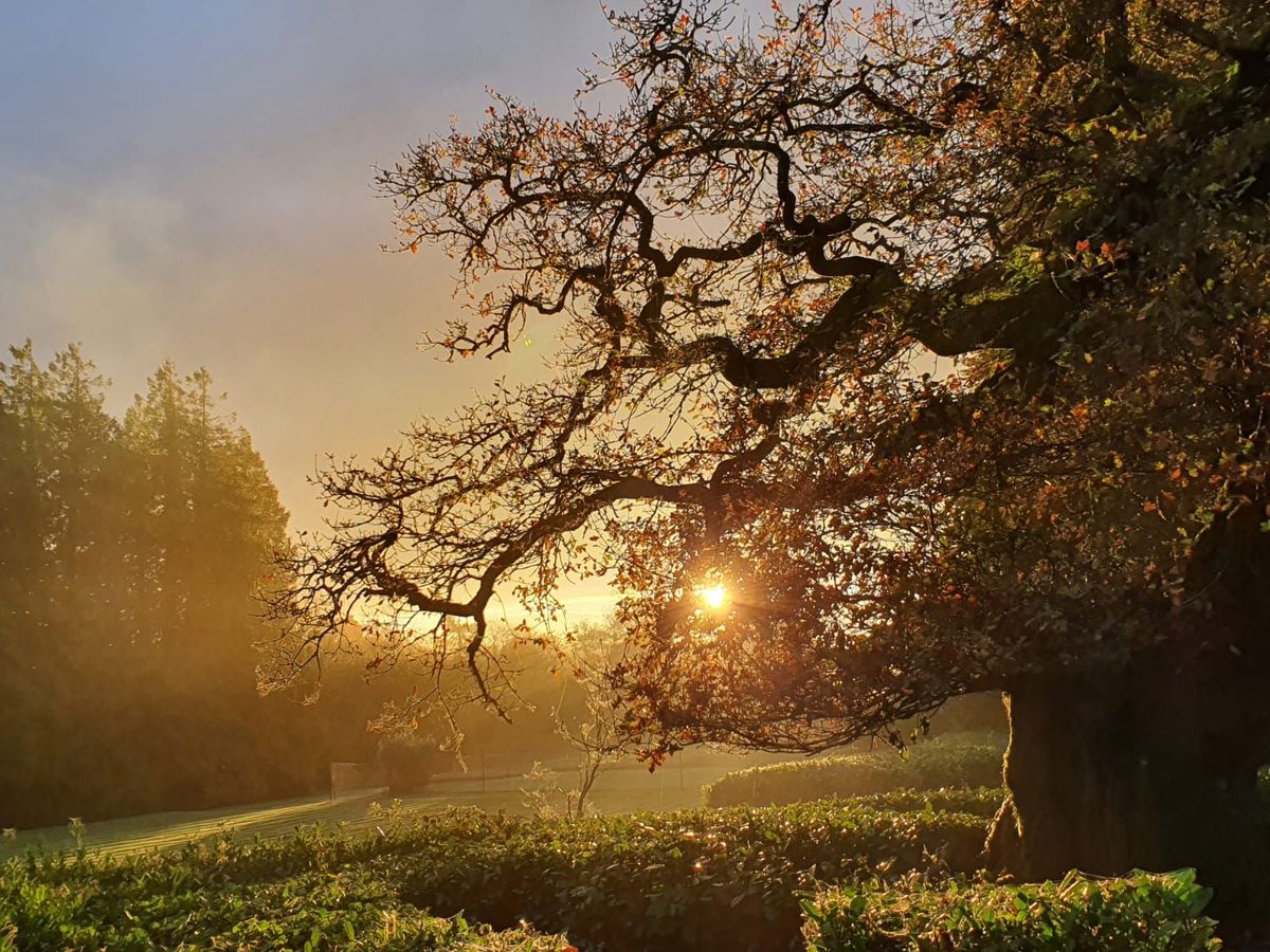 Period Property For Sale: Assolas House, Assolas, Castlemagner, Co. Cork Period Property For Sale: Assolas House, Assolas, Castlemagner, Co. Cork