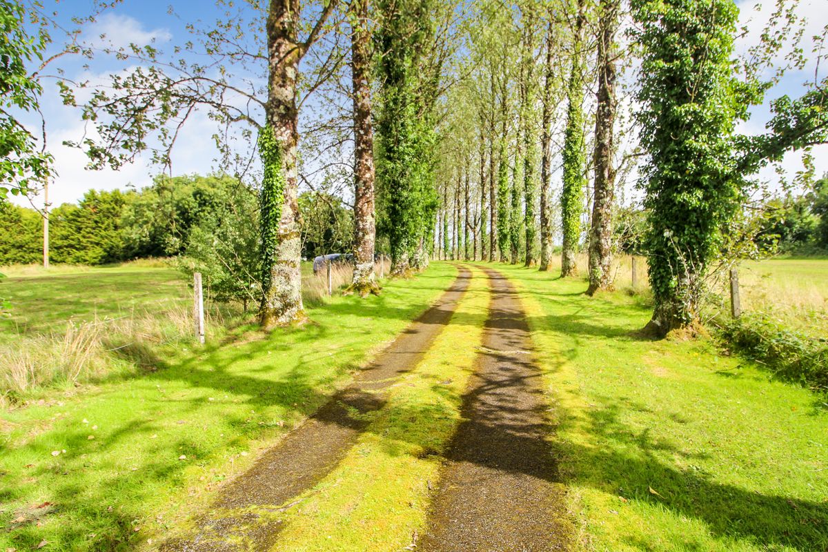 Period Residence For Sale: Mount Ashley, Glebe, Roosky, Co. Roscommon Period Residence For Sale: Mount Ashley, Glebe, Roosky, Co. Roscommon