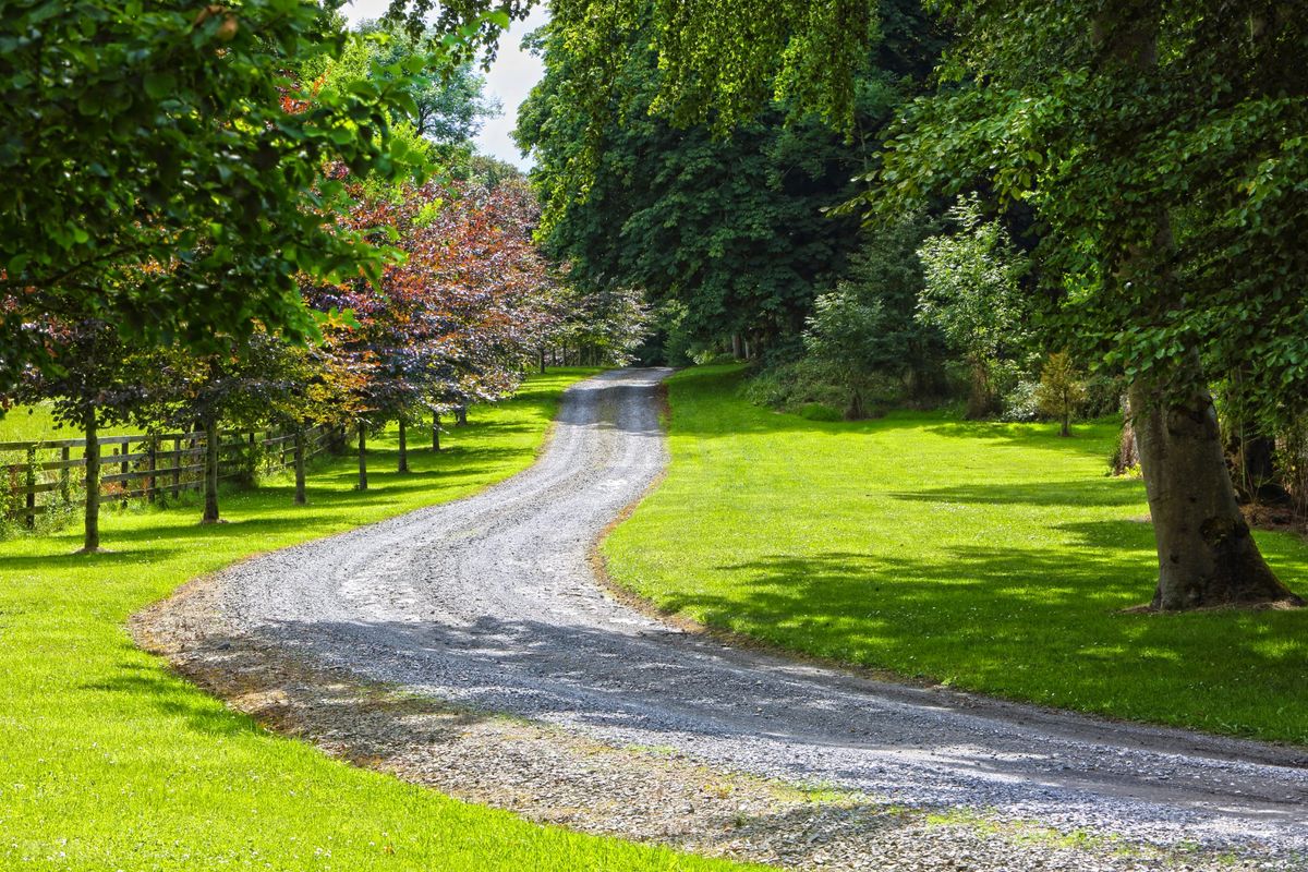 Lakeside Estate For Sale: Bellevue House and Estate, Bellevue, Coolbaun, Nenagh, Co. Tipperary Lakeside Estate For Sale: Bellevue House and Estate, Bellevue, Coolbaun, Nenagh, Co. Tipperary