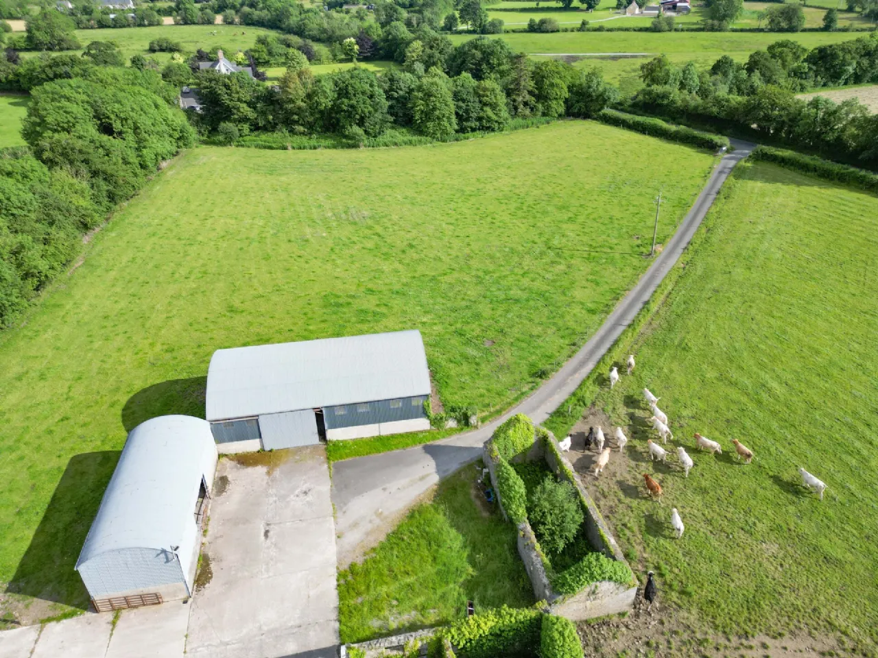 Period Residence For Sale: Woodville House, Woodville, Templemore, Co. Tipperary Period Residence For Sale: Woodville House, Woodville, Templemore, Co. Tipperary