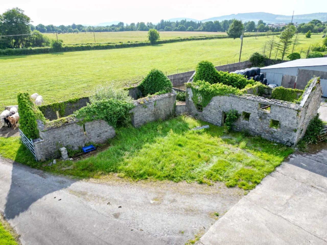 Period Residence For Sale: Woodville House, Woodville, Templemore, Co. Tipperary Period Residence For Sale: Woodville House, Woodville, Templemore, Co. Tipperary