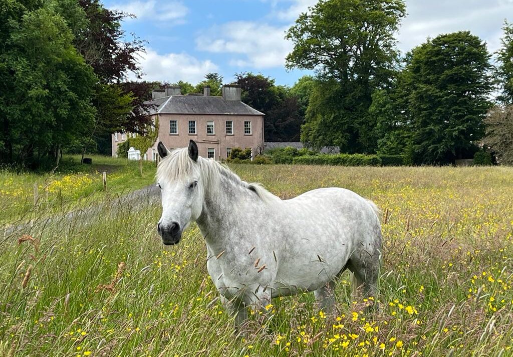 Enniscoe House, Ballina, Co. Mayo Enniscoe House, Ballina, Co. Mayo
