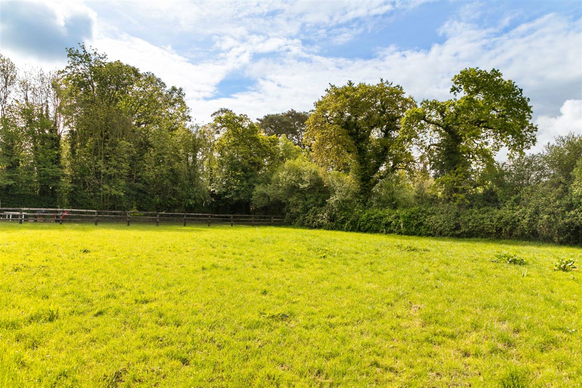 Georgian Residence For Sale: Ballylanigan House, Mullinahone, Co. Tipperary Georgian Residence For Sale: Ballylanigan House, Mullinahone, Co. Tipperary