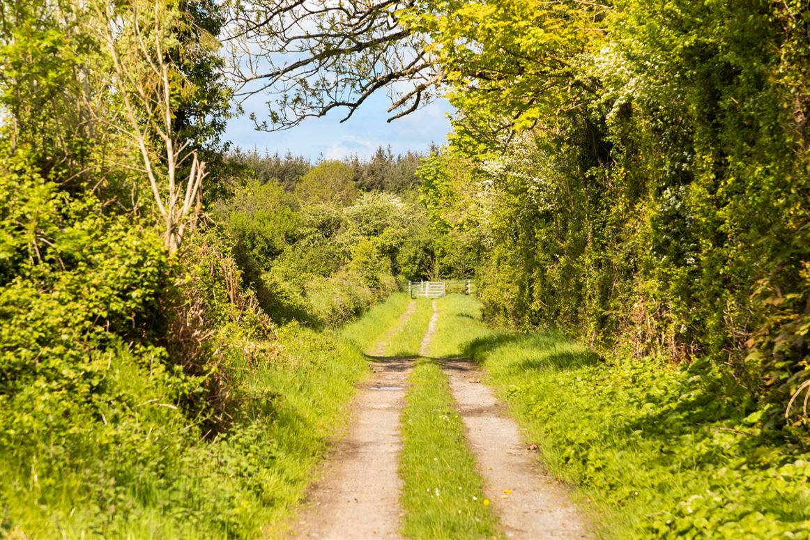 Georgian Residence For Sale: Ballylanigan House, Mullinahone, Co. Tipperary Georgian Residence For Sale: Ballylanigan House, Mullinahone, Co. Tipperary
