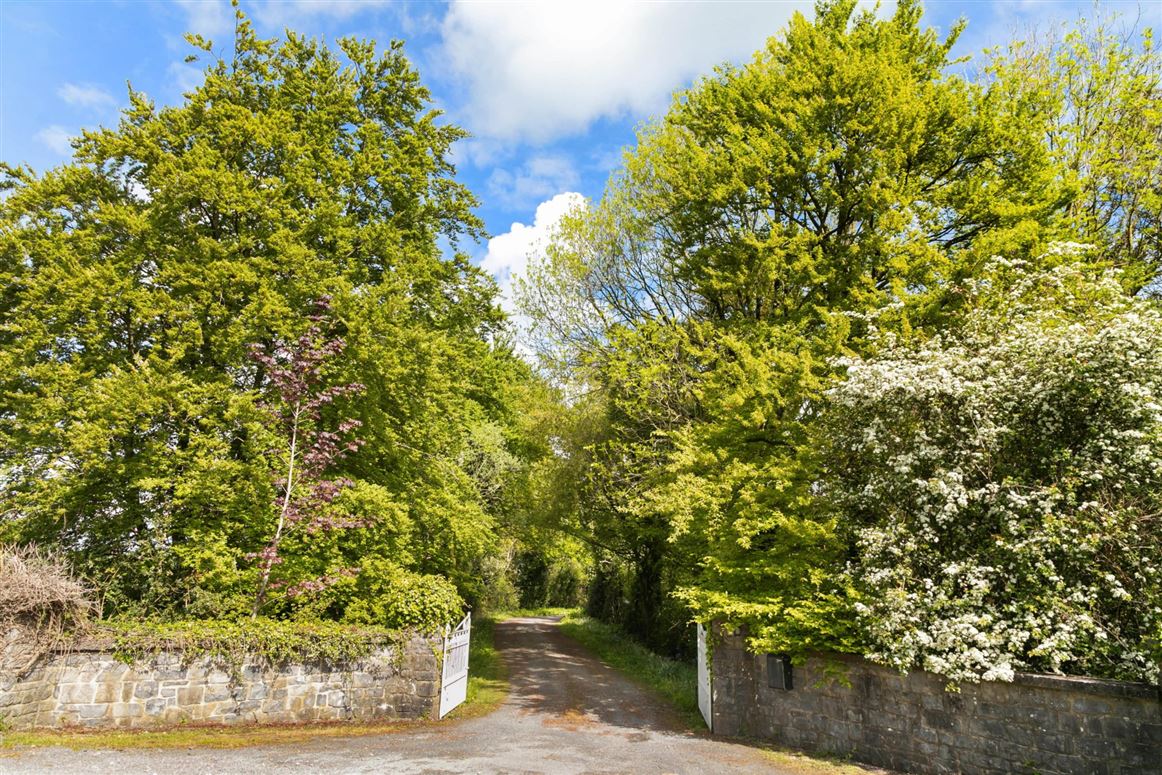 Georgian Residence For Sale: Ballylanigan House, Mullinahone, Co. Tipperary Georgian Residence For Sale: Ballylanigan House, Mullinahone, Co. Tipperary
