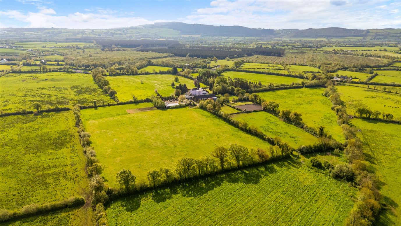 Georgian Residence For Sale: Ballylanigan House, Mullinahone, Co. Tipperary Georgian Residence For Sale: Ballylanigan House, Mullinahone, Co. Tipperary