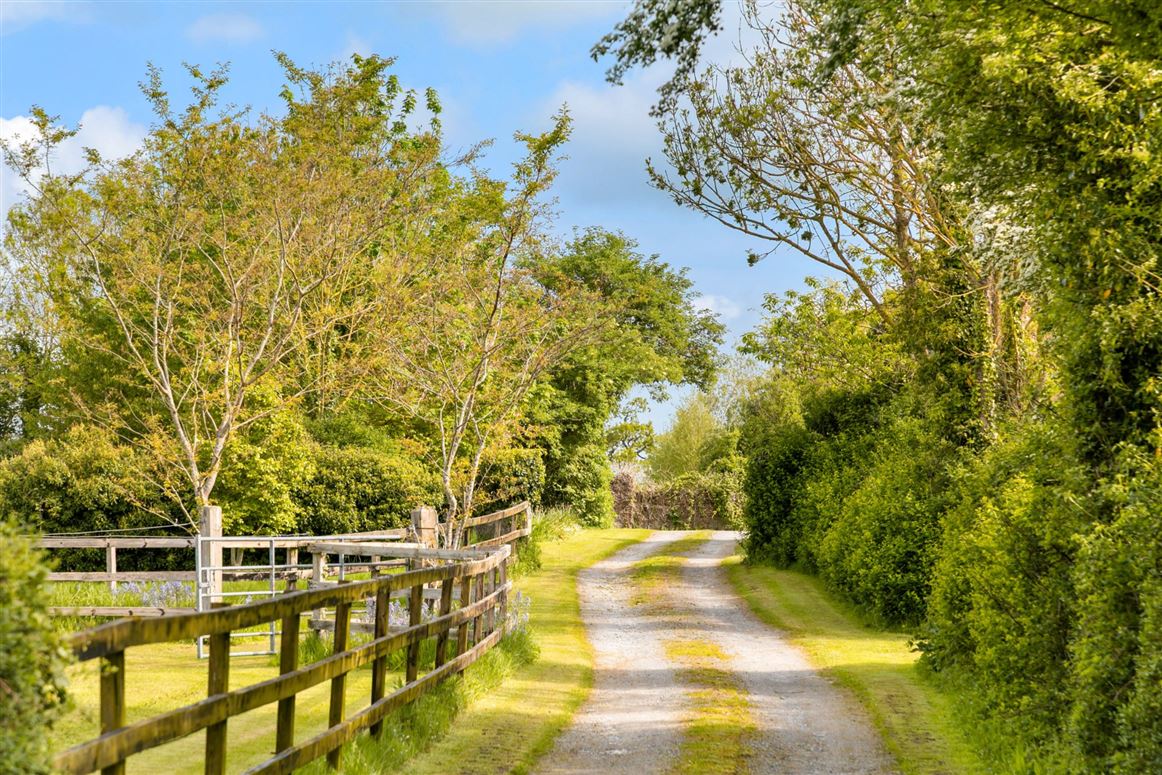 Georgian Residence For Sale: Ballylanigan House, Mullinahone, Co. Tipperary Georgian Residence For Sale: Ballylanigan House, Mullinahone, Co. Tipperary
