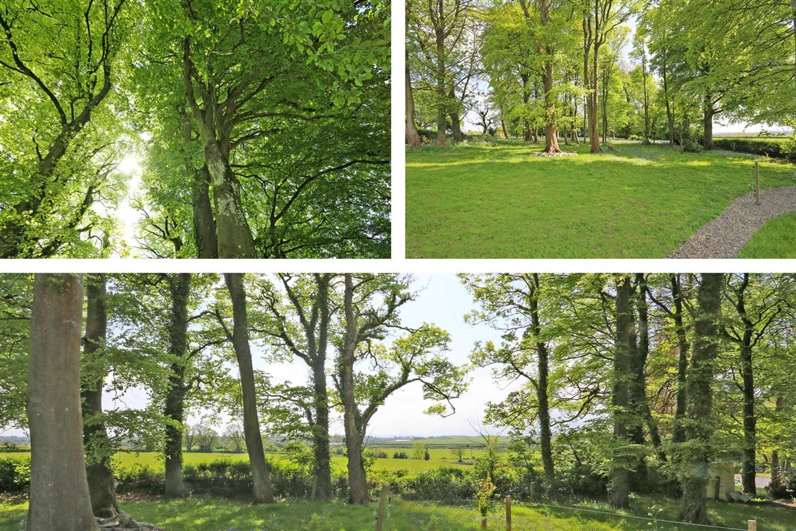 Country House For Sale: Carrygerry House, Newmarket On Fergus, Ennis, Co. Clare Country House For Sale: Carrygerry House, Newmarket On Fergus, Ennis, Co. Clare