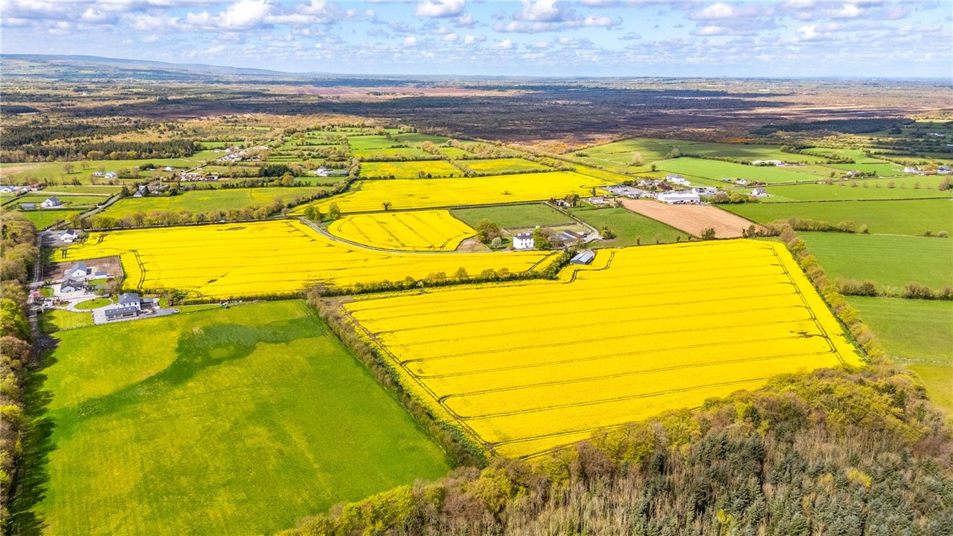 Period Home For Sale: Cloneyhurke House, Portarlington, Co. Offaly Period Home For Sale: Cloneyhurke House, Portarlington, Co. Offaly