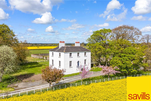 Period Home For Sale: Cloneyhurke House, Portarlington, Co. Offaly