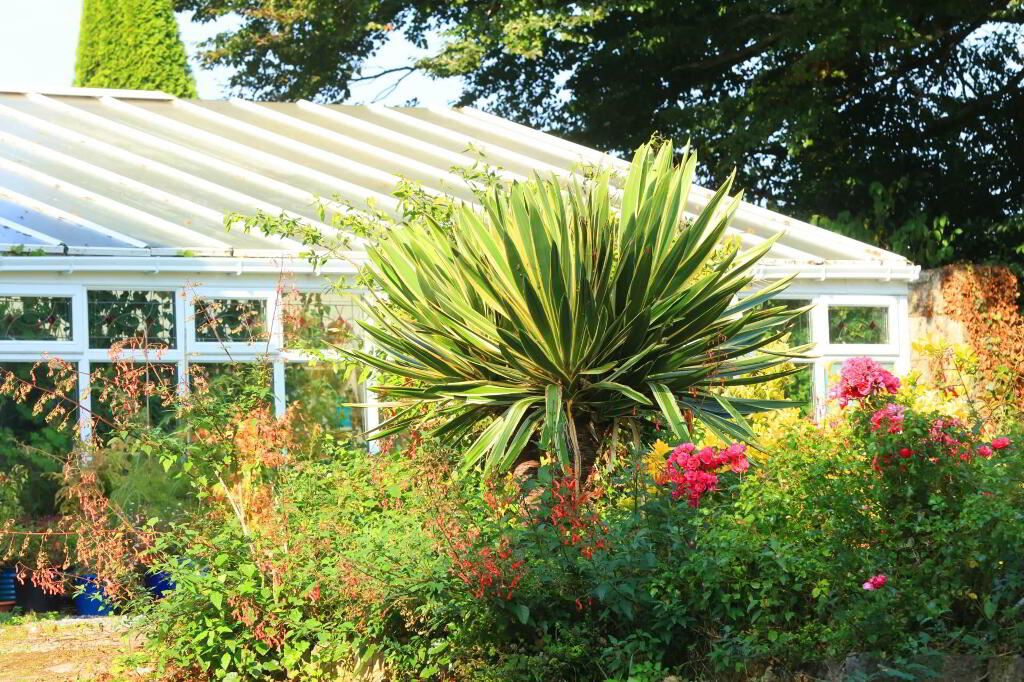 Georgian House For Sale: Curraghmore House (Glebe House), Borrisokane, Nenagh, Co. Tipperary Georgian House For Sale: Curraghmore House (Glebe House), Borrisokane, Nenagh, Co. Tipperary
