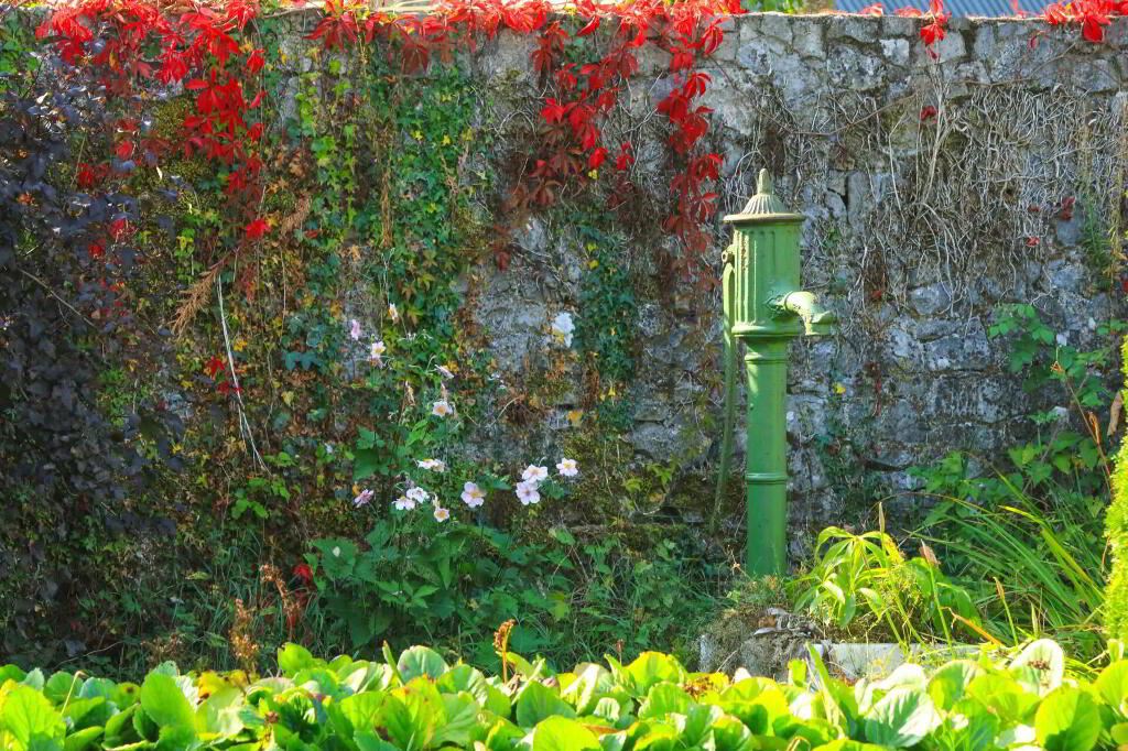 Georgian House For Sale: Curraghmore House (Glebe House), Borrisokane, Nenagh, Co. Tipperary Georgian House For Sale: Curraghmore House (Glebe House), Borrisokane, Nenagh, Co. Tipperary