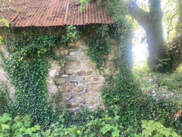 Traditional Style Farmhouse For Sale: Granlahan, Ballinlough, Co. Roscommon Traditional Style Farmhouse For Sale: Granlahan, Ballinlough, Co. Roscommon