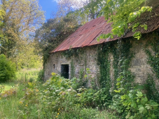 Traditional Style Farmhouse For Sale: Granlahan, Ballinlough, Co. Roscommon Traditional Style Farmhouse For Sale: Granlahan, Ballinlough, Co. Roscommon