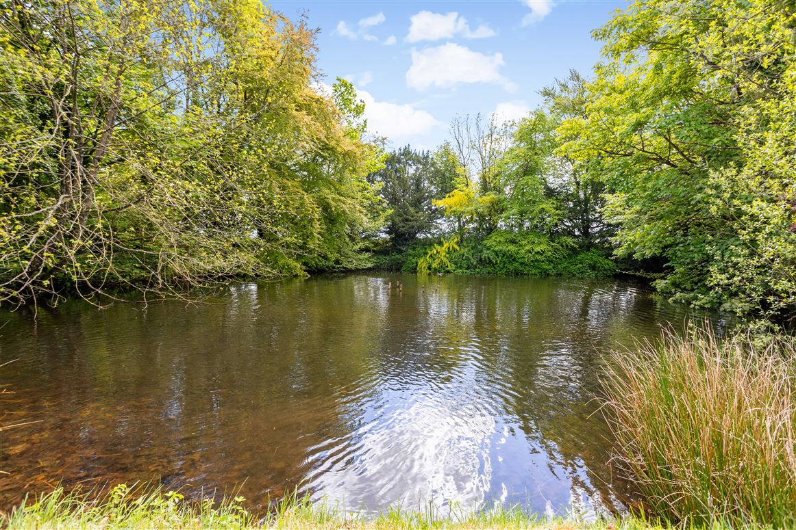 Country Residence For Sale: Rath House, Rathronshin, Ballybrittas, Co. Laois Country Residence For Sale: Rath House, Rathronshin, Ballybrittas, Co. Laois