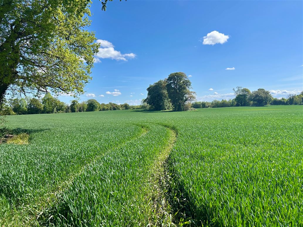 Country Residence For Sale: Rath House, Rathronshin, Ballybrittas, Co. Laois Country Residence For Sale: Rath House, Rathronshin, Ballybrittas, Co. Laois