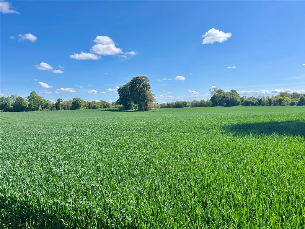 Country Residence For Sale: Rath House, Rathronshin, Ballybrittas, Co. Laois